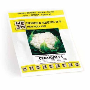 بذر گل کلم هیبرید سنتروم روزن سیدز