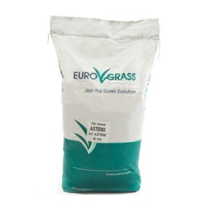 بذر چمن فستوکا Eurograss