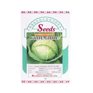 بذر کلم پیچ سفید هیبرید مستر وایت