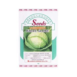 بذر کلم پیچ سفید هیبرید وایت گلوب