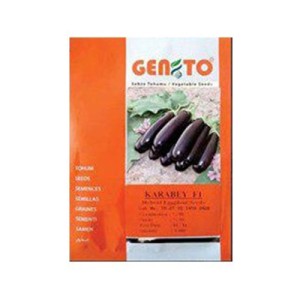 بذر بادمجان هیبرید GENTO