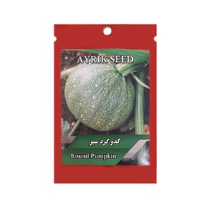 بذر کدو گرد سبز آیریک