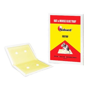 چسب موش کتابی نبرد