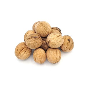 بذر درخت گردو