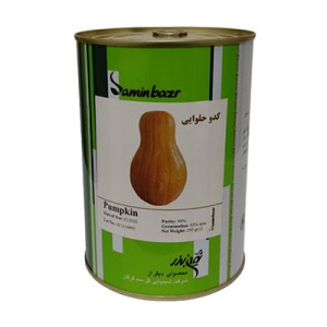 بذر کدو حلوایی ثمین بذر