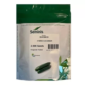 بذر خیار هیبرید SV4196CD سمینیس