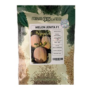 بذر ملون هیبرید جنیتا گاوریش