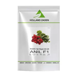 بذر تربچه هیبرید آنیل هلند زادن