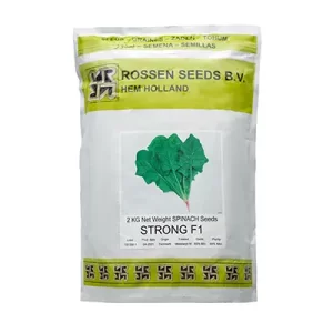 بذر اسفناج هیبرید استرانگ روزن سیدز