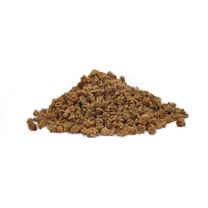 بذر چغندر برگ فله