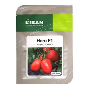 بذر گوجه فرنگی هیبرید هیرو Hero کیبان