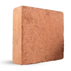 کوکوپیت هندی