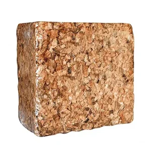 کوکوچیپس قالبی