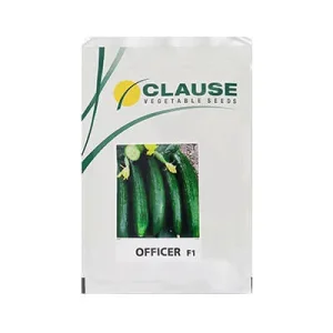 بذر خیار هیبرید آفیسر کلوز