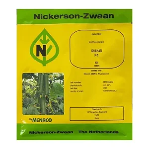 بذر خیار گلخانه ای هیبرید شهاب نیکرسون