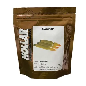 بذر کدو سبز هیبرید کاملیا هولار