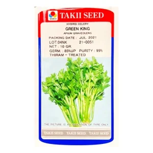 بذر کرفس هیبرید گرین کینگ تاکی ژاپن