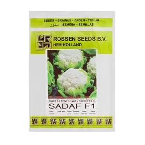 بذر گل کلم هیبرید صدف روزن سیدز