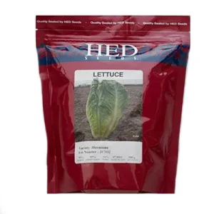 بذر کاهو استاندارد هرمیون هد