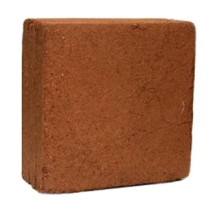 پی سی پیت رویان (pc)