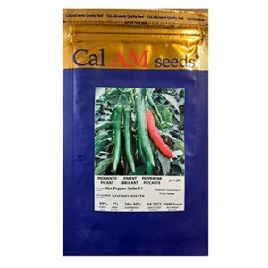 بذر فلفل قلمی تند هیبرید اسپایک Cal AM