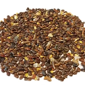 بذر درخت اقاقیا