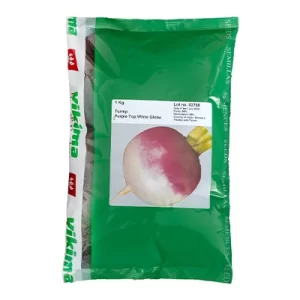 بذر شلغم Early Purple Top White Globe ویکیما