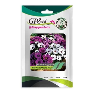 بذر گل استئوسپرموم پاکوتاه الوان