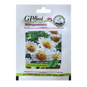 بذر گل بابونه دارویی سفید