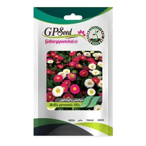 بذر گل مینا چمنی پاکوتاه الوان