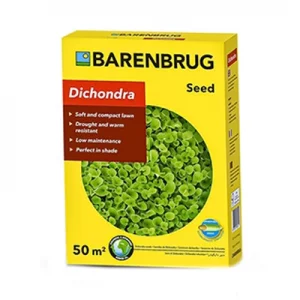 بذر شبدر زینتی دایکوندرا بارنبروگ هلند