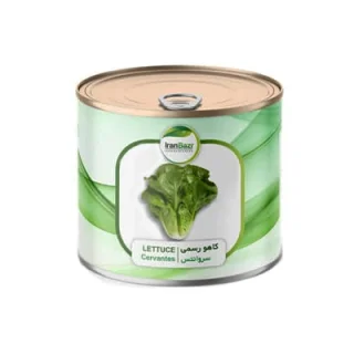 بذر کاهو استاندارد رسمی سروانتس ایران بذر