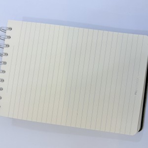 پیل یادداشت a5 سری گیومه