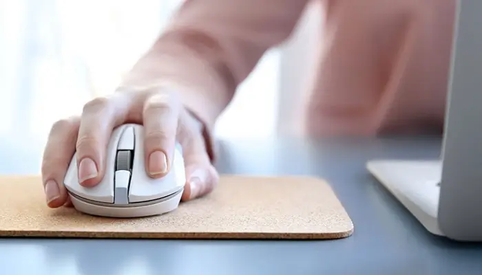 چگونه ماوس مناسب را انتخاب کنم؟ به همراه معرفی موس ارزان قیمت خوش دست و راحت