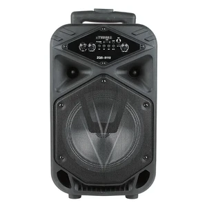 Speaker-stereo-zqs-8110-8inch-15W-Bluetooth-FM-aux-bass-speaker-subwoofer-portable-wireless-loudspeaker.jpg_Q90.jpg_ copy (5)