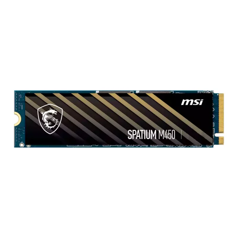 اس اس دی اینترنال ام اس آی مدل SPATIUM M450 M.2 2280 NVMe ظرفیت 1TB