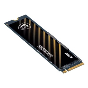 MSI SSD M390 M2