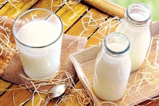 مصرف شیر کم چرب راهی برای مقابله با پیری