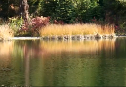 ویدئو : طبیعت زیبا همراه با موسیقی آرامش بخش  (HD)
