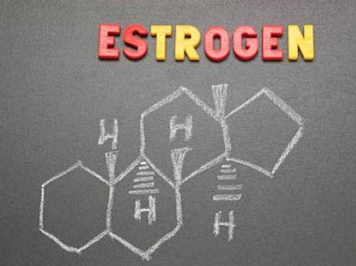 هورمون استروژن و فیتواستروژن ها را بشناسید