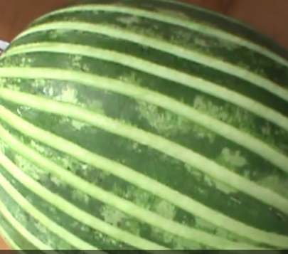 ویدئو :  ویژه شب یلدا - انواع میوه آرایی و تزیین هندوانه شب یلدا
