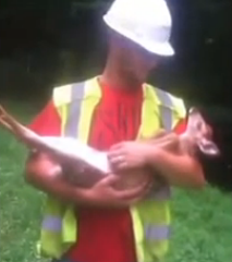 ویدئو : بچه آهوی خودخواه !