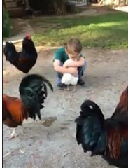 ویدئو :  عشق واقعی