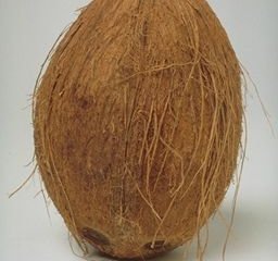 ویدئو : پوست کندن سریع و آسان نارگیل