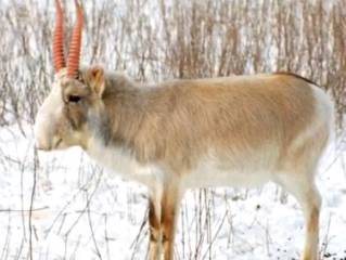 ۱۰ تا از عجایب در دنیا که حتی فکر نمیکنید وجود داشته باشند