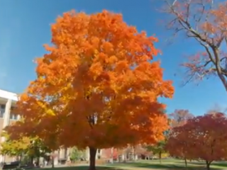 ویدئو :   تایم لپس پائیز