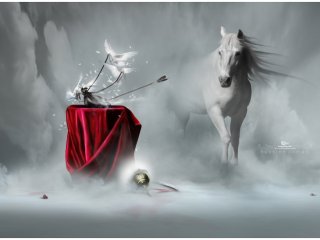 ویدئو :  هیاهو میخواهد