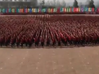 ویدئو :  ویدئویی خیره کننده از آکادمی کنگ فو در چین