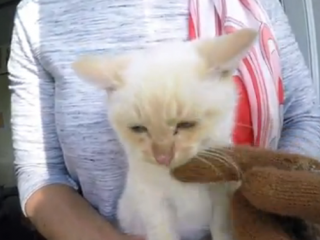 ویدئو :   قشنگ ترین ویدئو از انسانیت