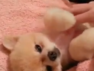 ویدئو :  ببینید چقدر نازه !